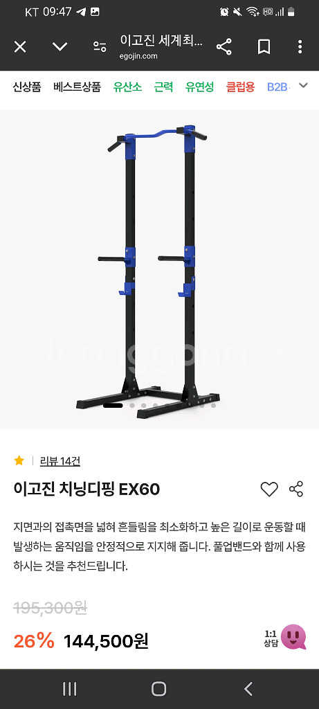 헬스 전신운동 치닝디핑 턱걸이 딥스 케틀벨--0