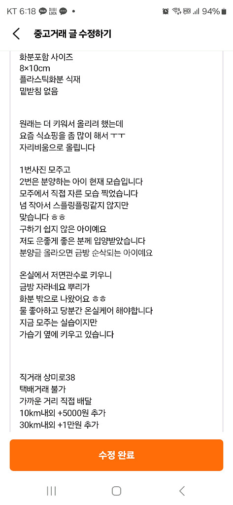 칼라디움 스플링플링--6