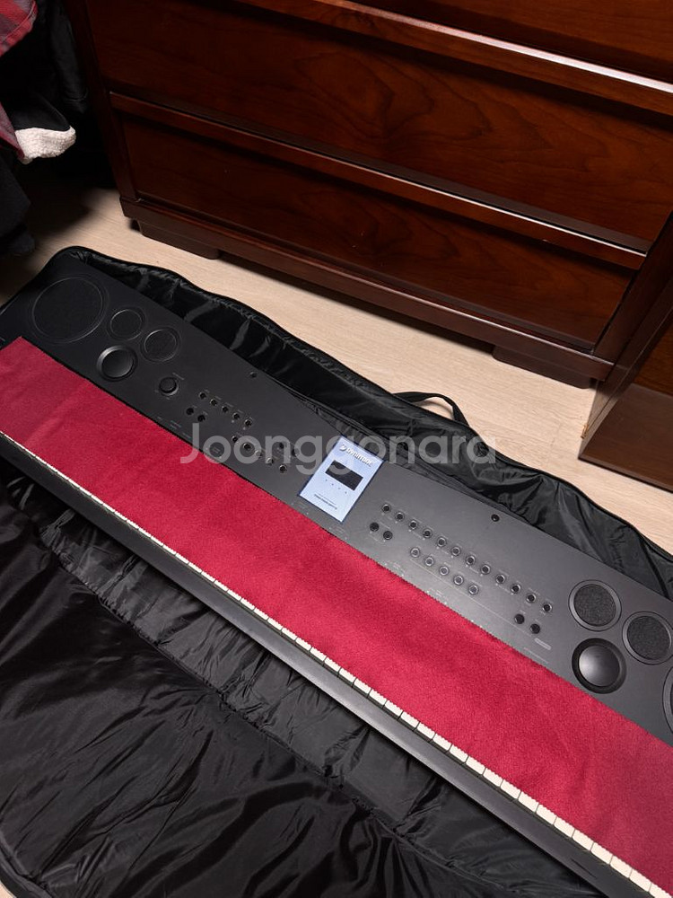 다이나톤 DPP710 디지털 피아노--2