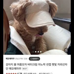 강아지 선캡 (아노락 , 택배비 포함)