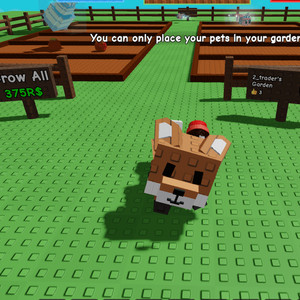 그로우 어 가든 붉은 여우 레드 폭스 그어가 재고 10