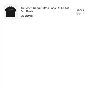 [새제품 급처] 아크테릭스 크래그 코튼 로고 티셔츠