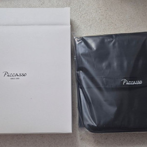 피카소 빅 메쉬 파우치
