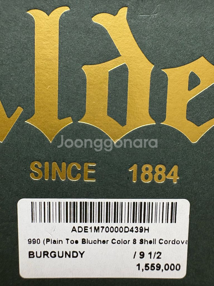 알든 990 코도반 더비--7