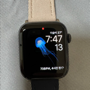 애플워치 시리즈5 44mm 셀룰러