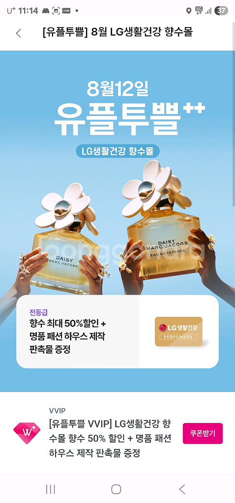 LG생활건강 향수 50% 할인--0