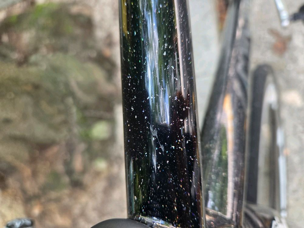 2019 치넬리 비고랠리 판/대 이미지