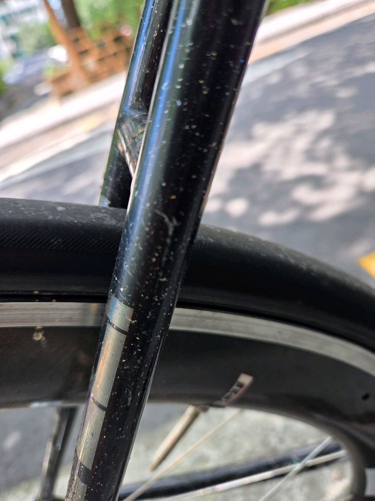 2019 치넬리 비고랠리 판/대 이미지