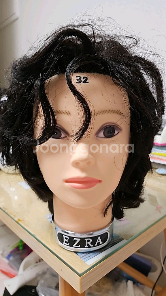 에즈라 레이어 통가발--0