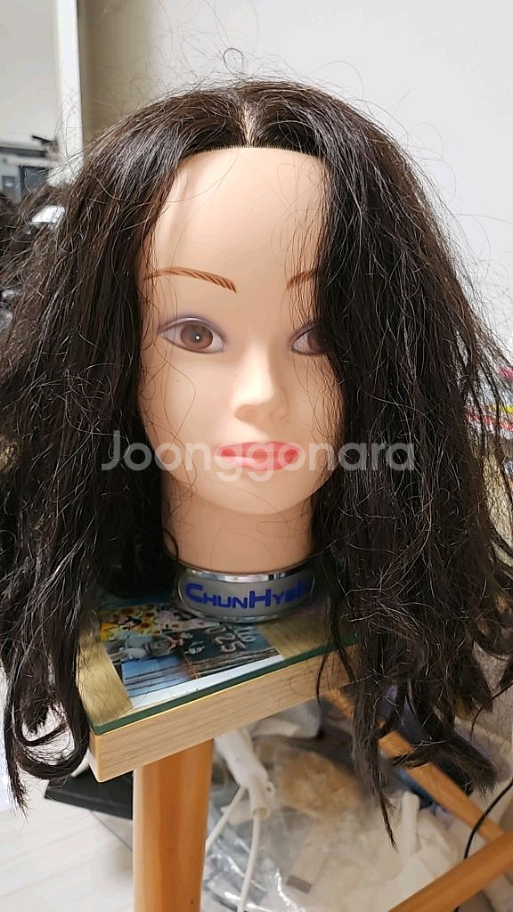 천혜인 스파니엘 통가발--0
