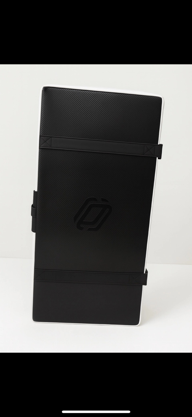 테슬라 드림케이스 모델X 이미지