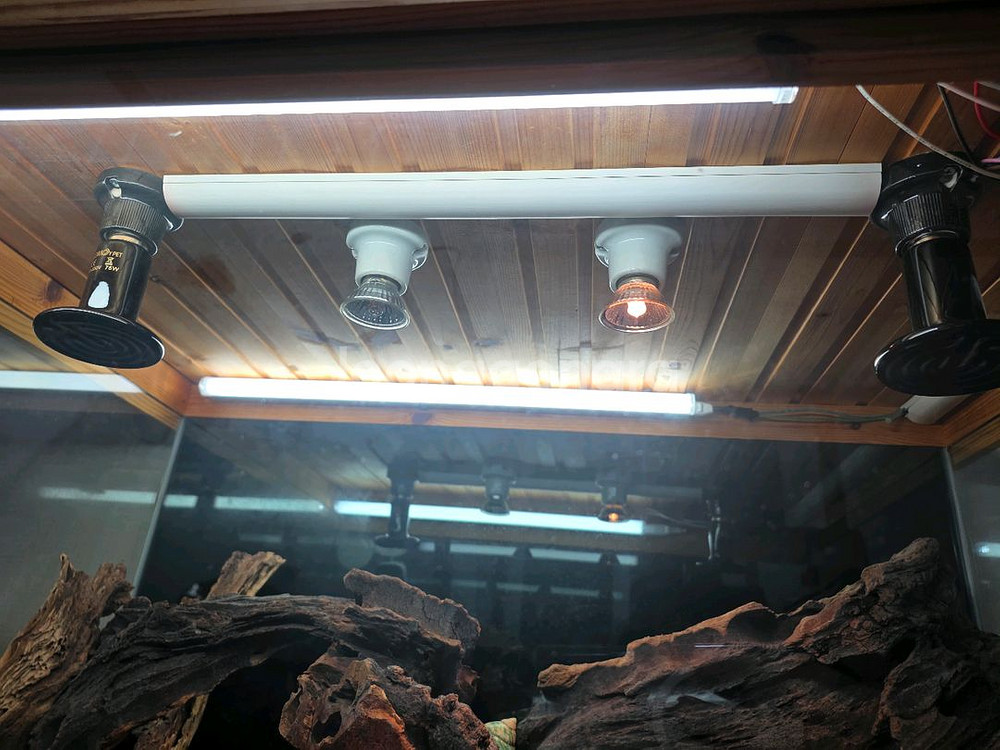 소라게 풀세트 판매 챔프 3자--3