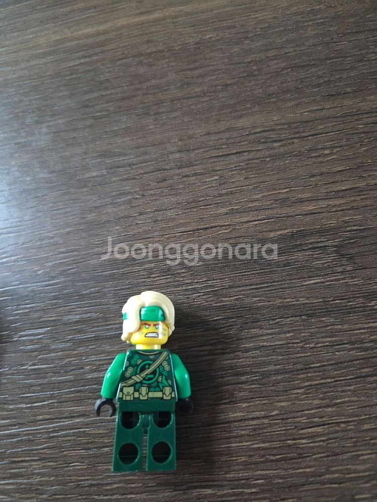 정글 로이드 레고--1