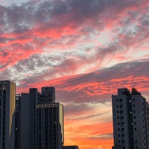 구글 콘텐츠 정보 이용료 70퍼 매입