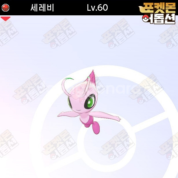 이로치 세레비 / 포켓몬스터 / 닌텐도 스위치--0