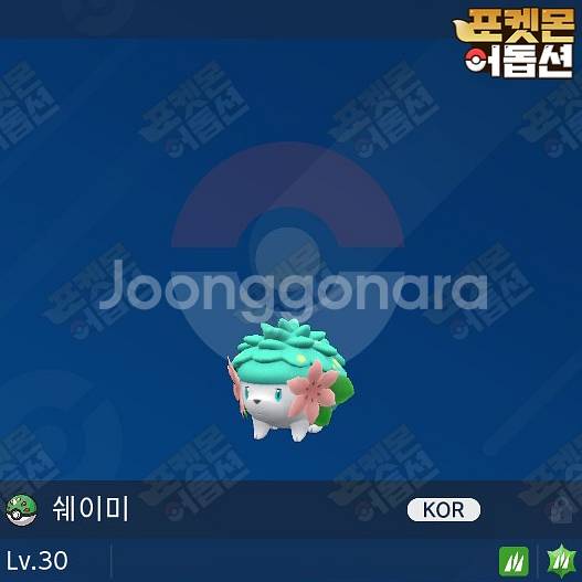 이로치 쉐이미 / 포켓몬스터 / 닌텐도 스위치--0