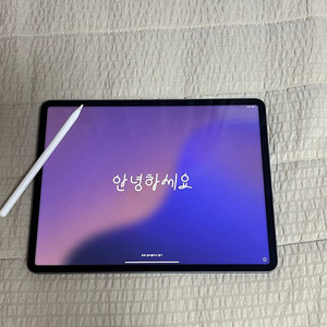 아이패드 프로 12.9 6세대 128g