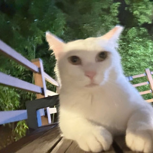 유니폼 교환하실분!!