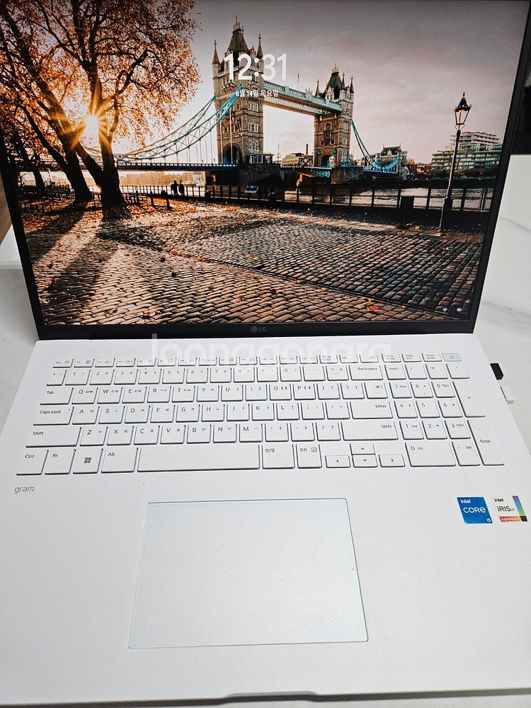 LG 그램23 17인치 17ZD90RU-GX56K--0