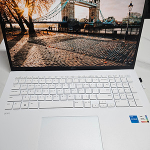LG 그램23 17인치 17ZD90RU-GX56K