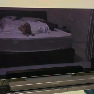 LG 55인치 OLED TV