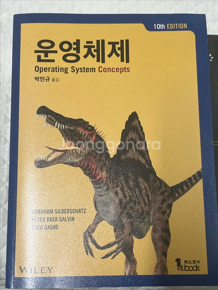 공룡책, 그래픽 프로그래밍 서적--0