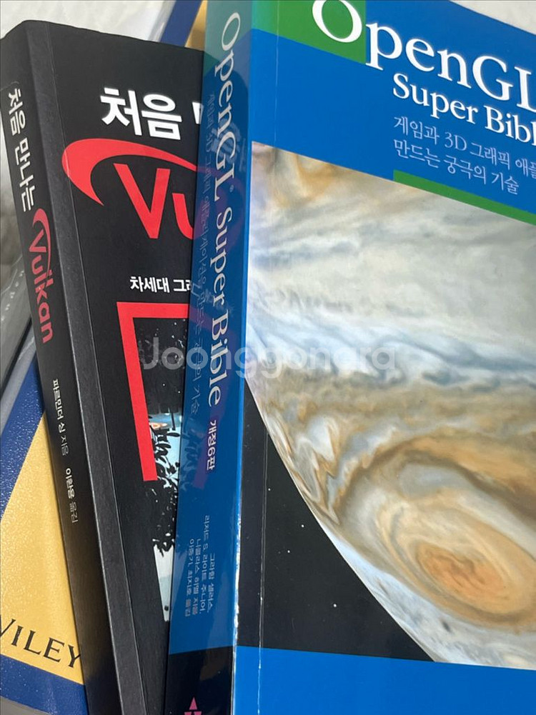 공룡책, 그래픽 프로그래밍 서적--1