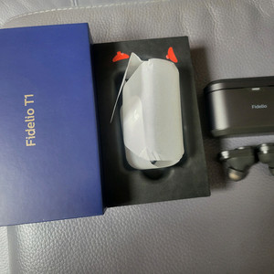 필립스 Fidelio T1 무선 이어폰 판매합니다