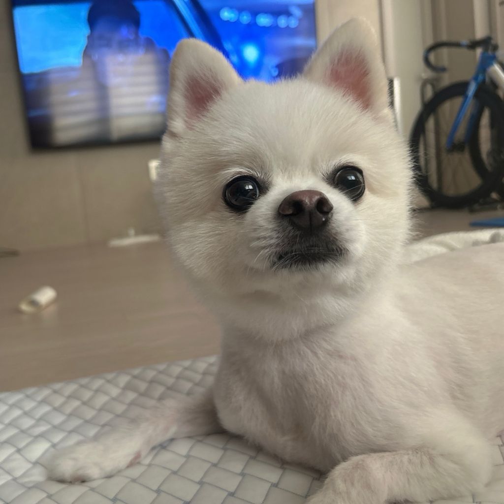 프로필 이미지