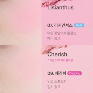 삐아 블러셔 체리쉬,리시안셔스