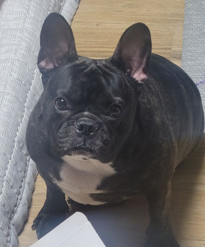 프로필 이미지