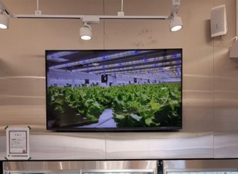 LG 울트라HD 55인치 TV--0