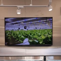 LG 울트라HD 55인치 TV