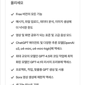 chat gpt plus 5모델 사용가능 1개월 팝니다