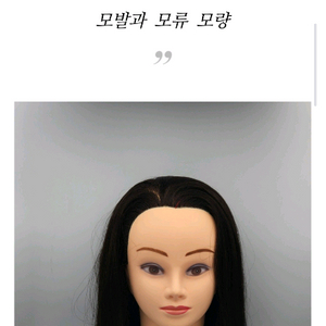 천혜인 시험용 통가발