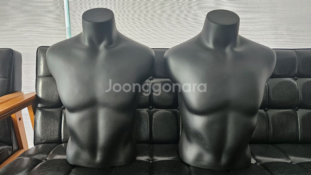 마네킨 흉상--0