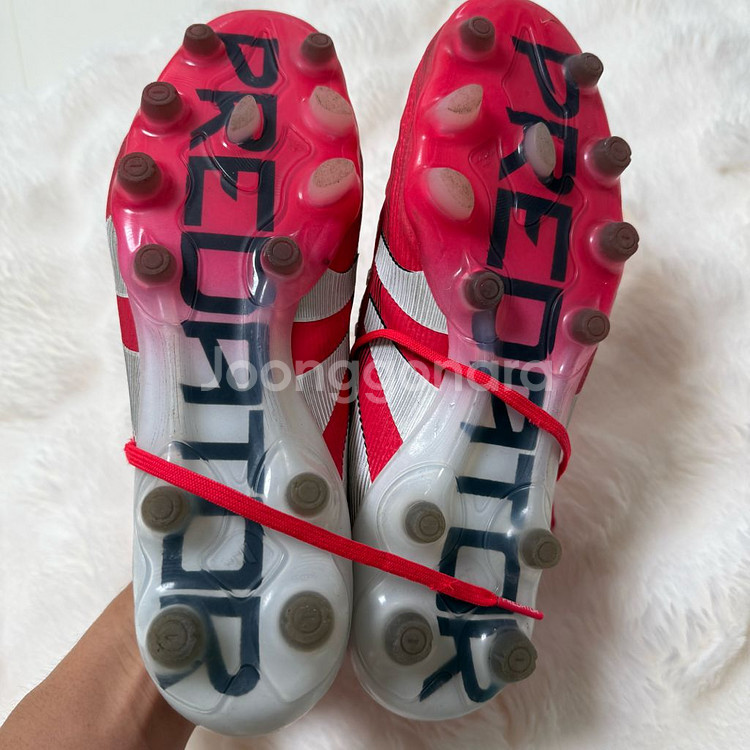 아이다스 프레데터 엘리트 AG 270mm--1