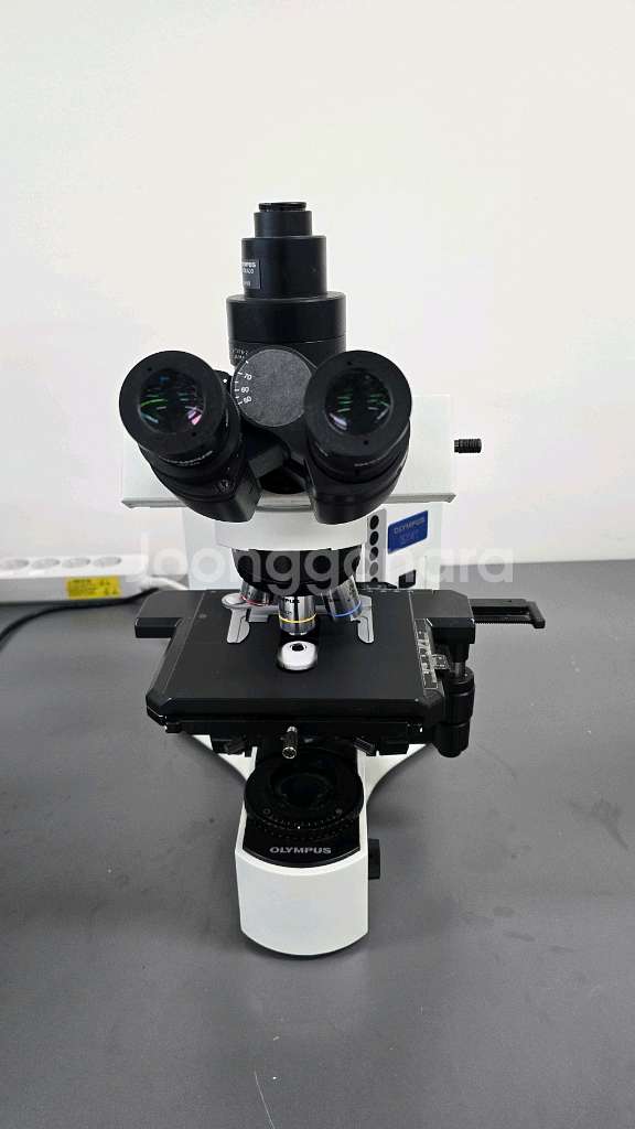 올림푸스 생물현미경 BX41TR--2