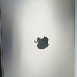 맥북 에어 m3 512gb 스타라이트