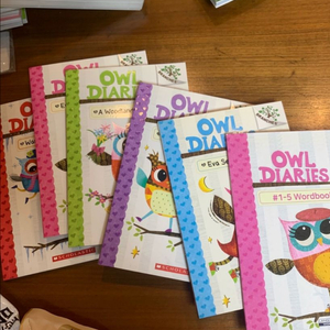 Owl Diaries
