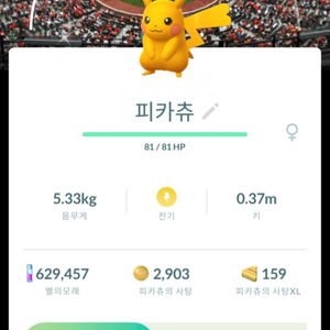 포켓몬고 MLB 야구장 배경 로케 이로치 피카츄 판매