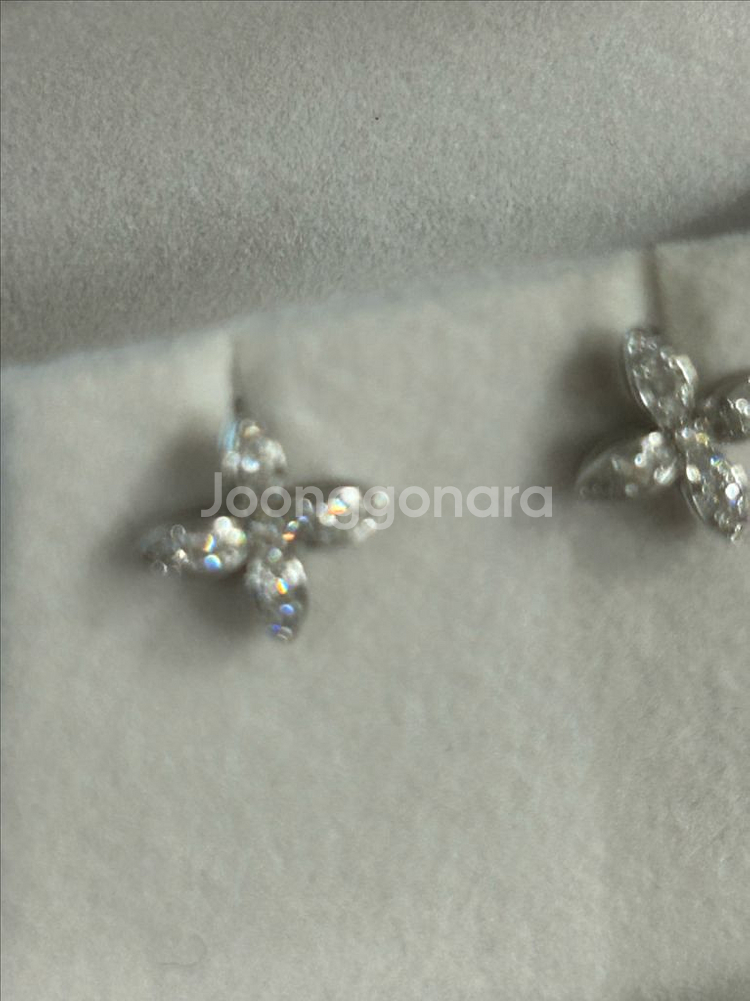 펄시피아 파베 귀걸이 골든듀--0