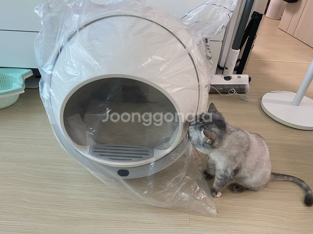 디클펫 고양이 자동화장실--2