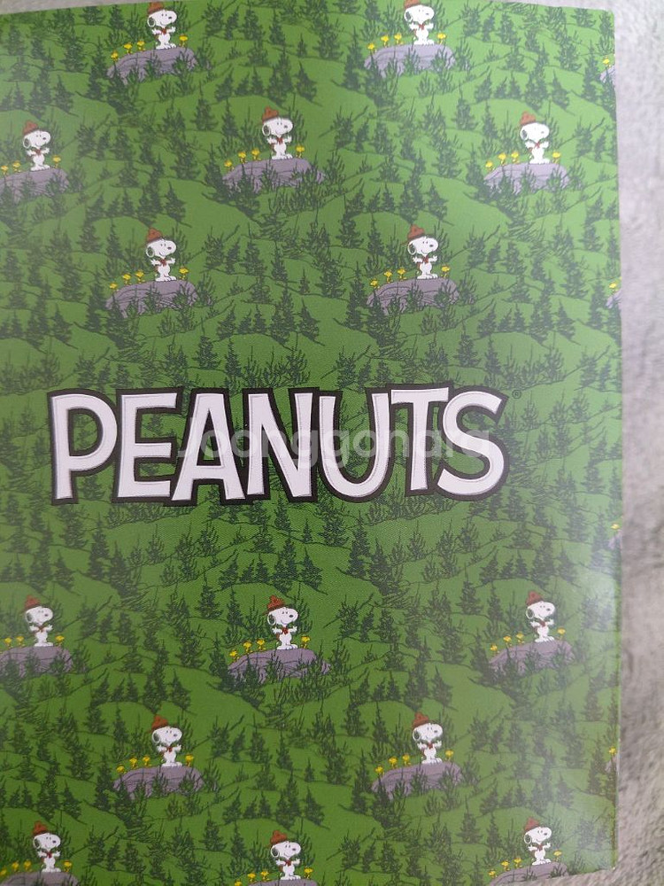 스누피 1온스 색체 실버바 은화 기념--5