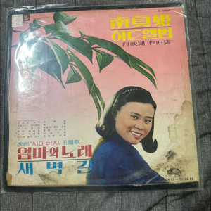 남정희 히트 앨범 VOL.1 LP 판매합니다