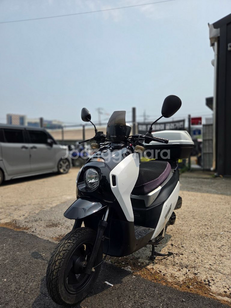 대림 위티80--0