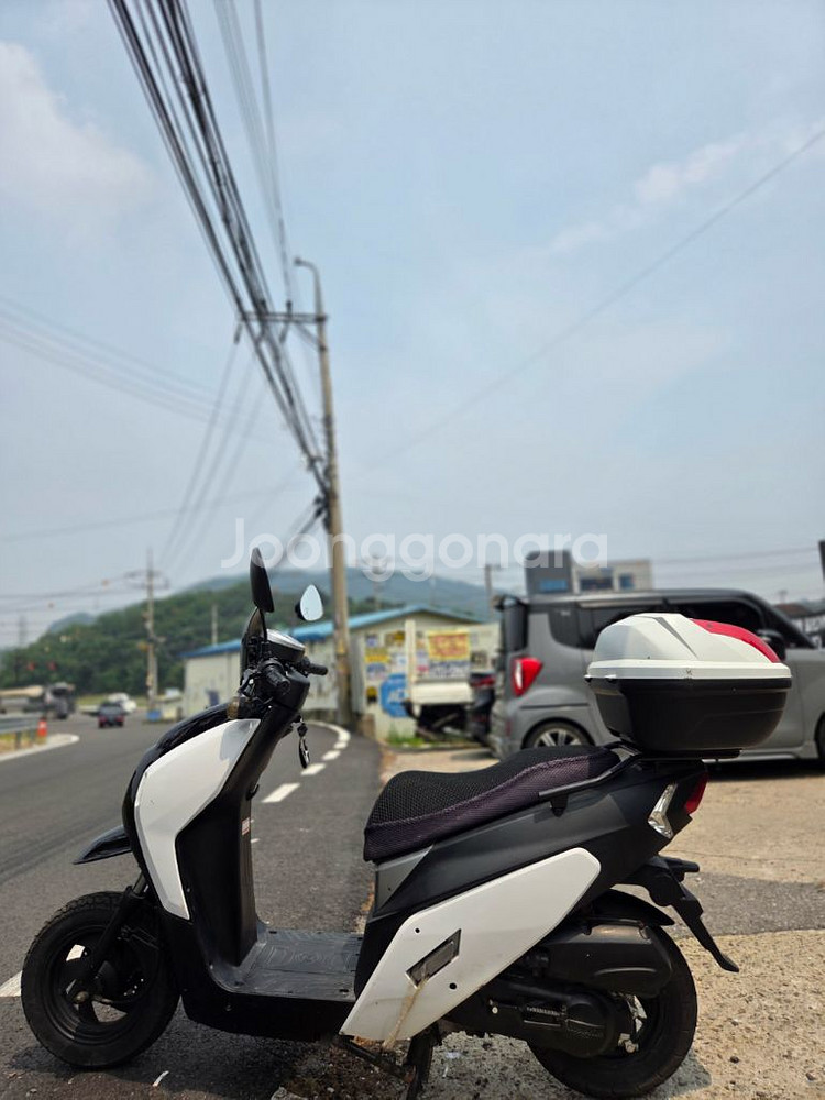 대림 위티80--4