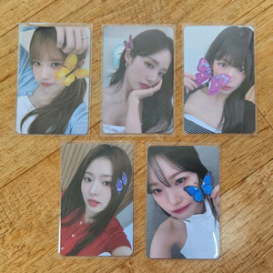 프로미스나인 메이크스타 나비특전 포토카드 일괄 판매