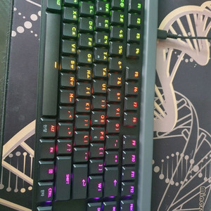 로지텍 g515tkl 유선 갈축 사용감 없음