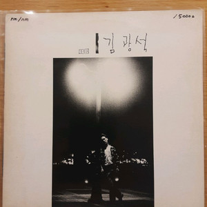 김광석 1집 lp